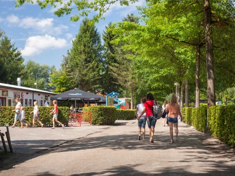 Oostappen park Parelstrand - Camping Limburg Belge - Image N°35