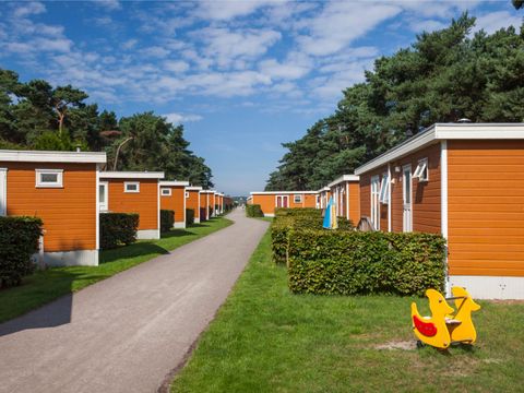 Oostappen park Parelstrand - Camping Limburg Belge - Image N°39