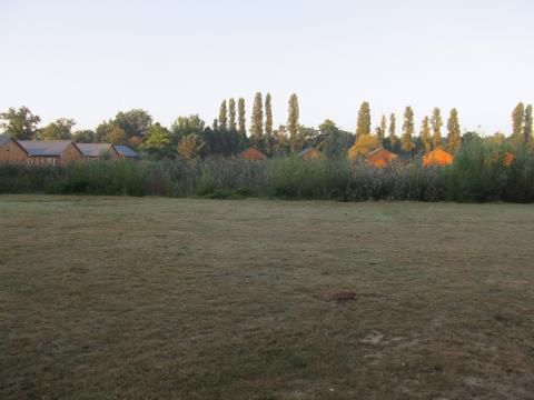 Oostappen park Parelstrand - Camping Limburg Belge - Image N°21