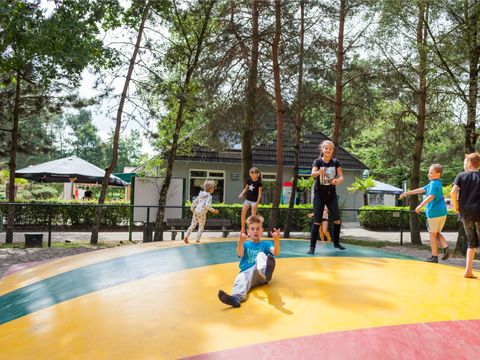 Oostappen park Brugse Heide - Camping Valkenswaard - Image N°15