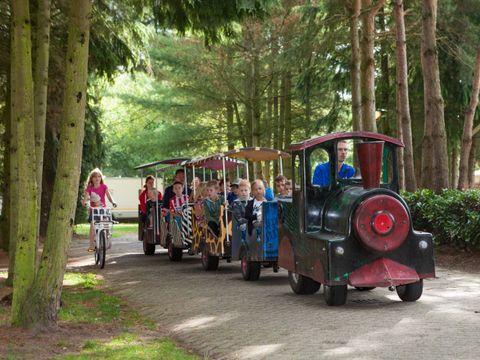 Oostappen park Brugse Heide - Camping Valkenswaard - Image N°44