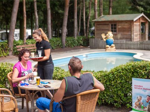 Oostappen park Brugse Heide - Camping Valkenswaard - Image N°5