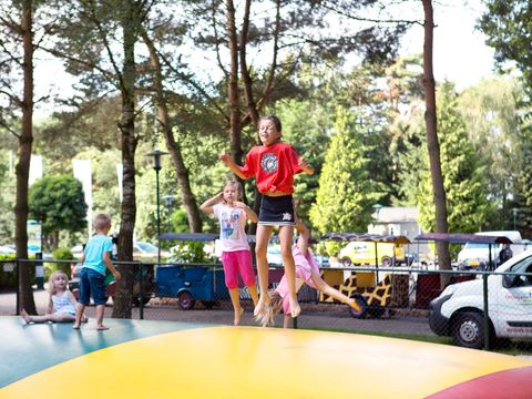 Oostappen park Brugse Heide - Camping Valkenswaard - Image N°32