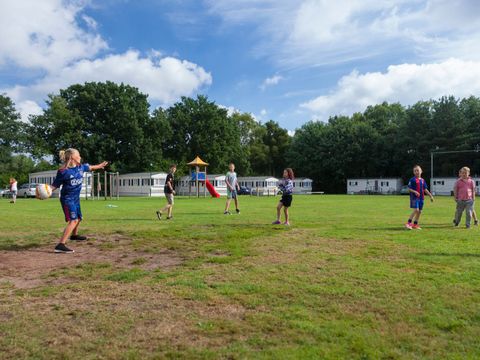 Oostappen park Brugse Heide - Camping Valkenswaard - Image N°17