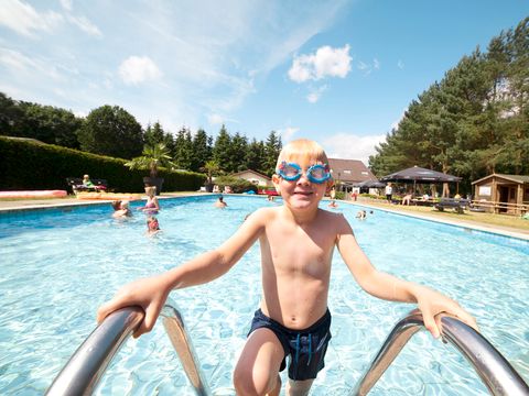 Oostappen park Brugse Heide - Camping Valkenswaard - Image N°41