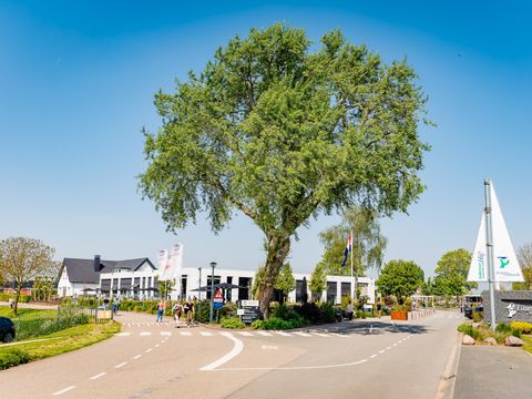 Vakantiepark Eiland van Maurik - Camping Buren - Image N°17