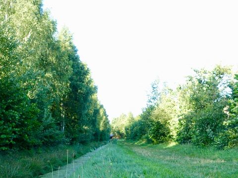 Vakantiepark De Lourenshoeve - Camping Twenteret - Image N°22