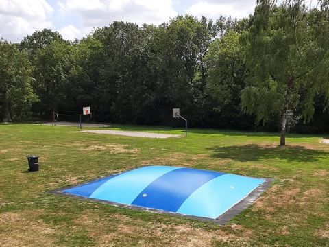 Bungalowpark Het Bosmeer - Camping Weststellingwerf - Image N°8