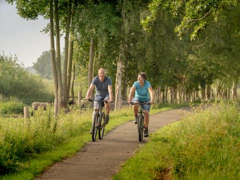 Bungalowpark Het Bosmeer - Camping Weststellingwerf - Image N°2
