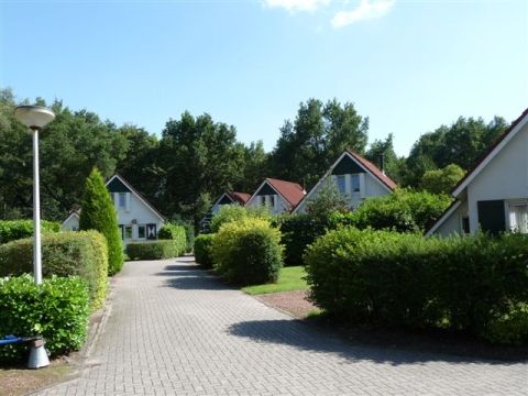 Bungalowpark Het Bosmeer - Camping Weststellingwerf - Image N°13