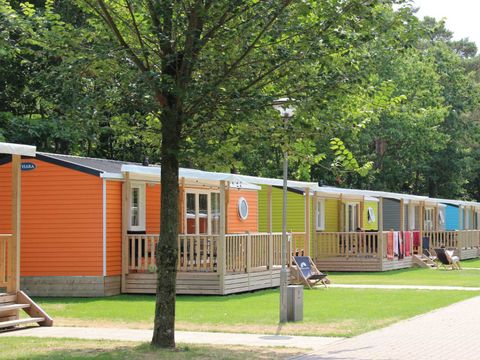 Molecaten Park Bosbad Hoeven - Camping Halderberge - Image N°16