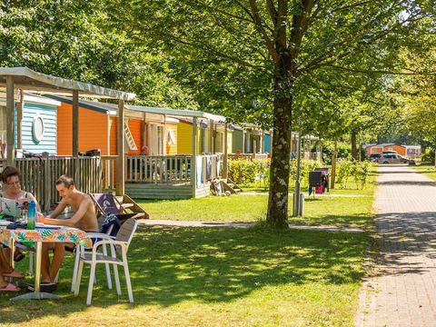 Molecaten Park Bosbad Hoeven - Camping Halderberge - Image N°2
