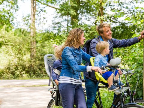 Molecaten Park Bosbad Hoeven - Camping Halderberge - Image N°23
