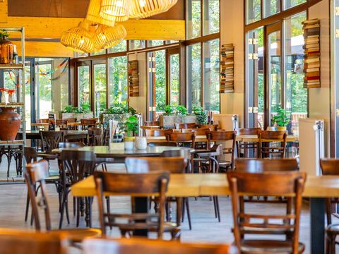 Molecaten Park Bosbad Hoeven - Camping Halderberge - Image N°13