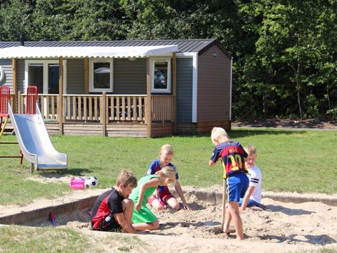 Molecaten Park Bosbad Hoeven - Camping Halderberge - Image N°17
