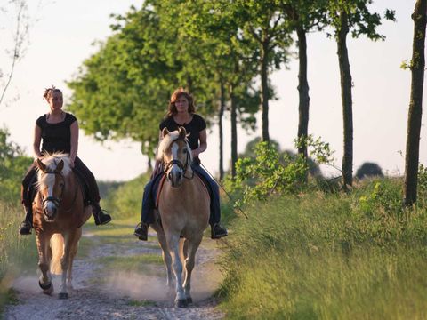 Molecaten Park Bosbad Hoeven - Camping Halderberge - Image N°24