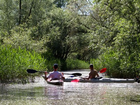 Molecaten Park Bosbad Hoeven - Camping Halderberge - Image N°22