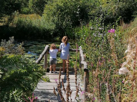 Molecaten Park Bosbad Hoeven - Camping Halderberge - Image N°21