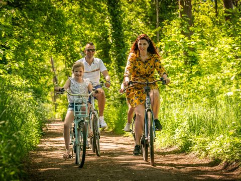 EuroParcs De Achterhoek - Camping Lochem - Image N°22
