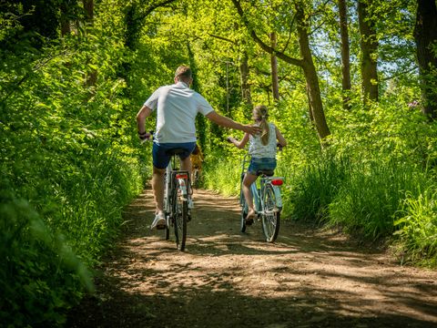 EuroParcs De Achterhoek - Camping Lochem - Image N°21