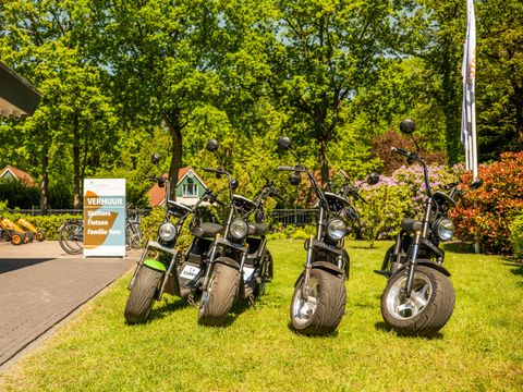 EuroParcs De Achterhoek - Camping Lochem - Image N°24