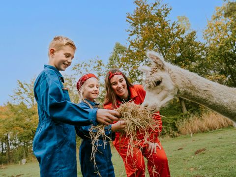 Vakantiepark Dierenbos - Camping Meierijstad - Image N°9