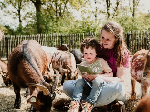 Vakantiepark Dierenbos - Camping Meierijstad - Image N°25