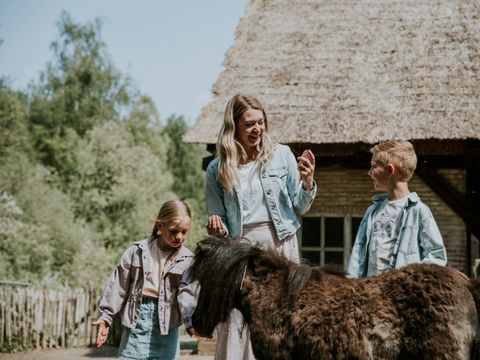 Vakantiepark Dierenbos - Camping Meierijstad - Image N°5