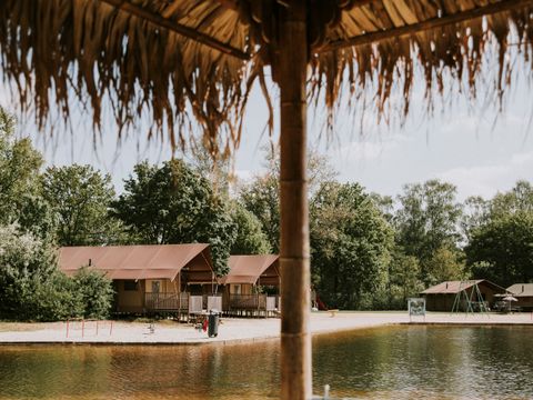 Vakantiepark Dierenbos - Camping Meierijstad - Image N°4