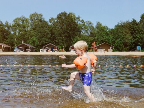 Vakantiepark Dierenbos - Camping Meierijstad - Image N°14