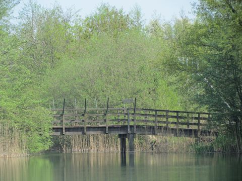 Vakantiepark 't Broeckhuys - Camping Beuningen - Image N°8