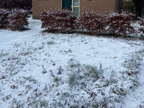 BUNGALOW 6 personnes - Forest Pet & Family 197