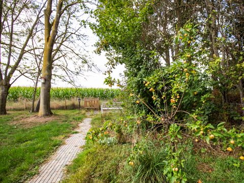 BUNGALOW 6 personnes - Forest Pet & Family 197