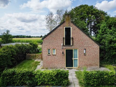 BUNGALOW 6 personnes - Forest Pet & Family 197