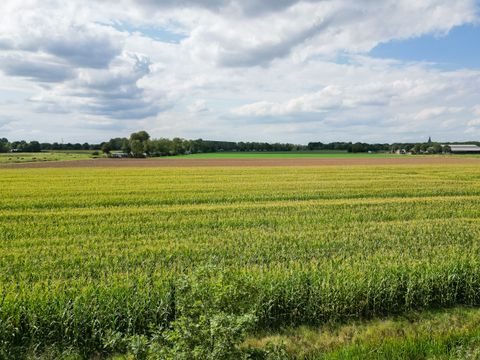 BUNGALOW 6 personnes - le géant flamand 195
