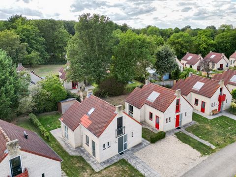 BUNGALOW 6 personnes - Forêt 28