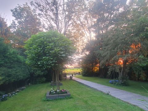 BUNGALOW 6 personnes - Forêt 217 Sauna