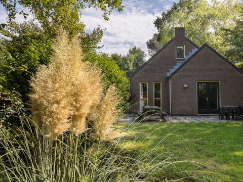 BUNGALOW 6 personnes - Forêt 209