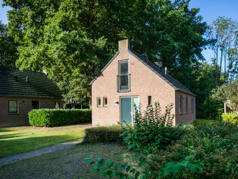 BUNGALOW 6 personnes - Forêt 185