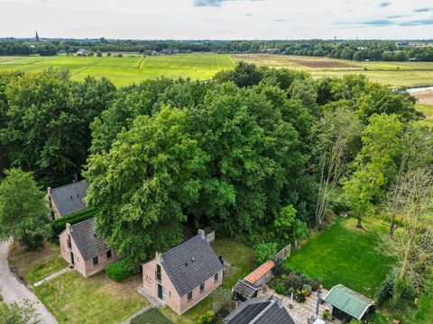 BUNGALOW 6 personnes - Forêt 185