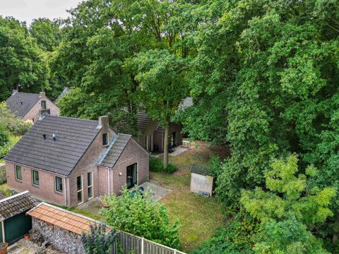 BUNGALOW 6 personnes - Forêt 185