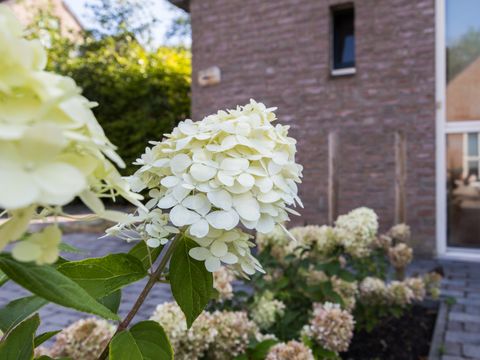 BUNGALOW 6 personnes - Forêt 67