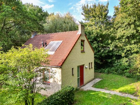 BUNGALOW 4 personnes - Sauna Lakeside 63