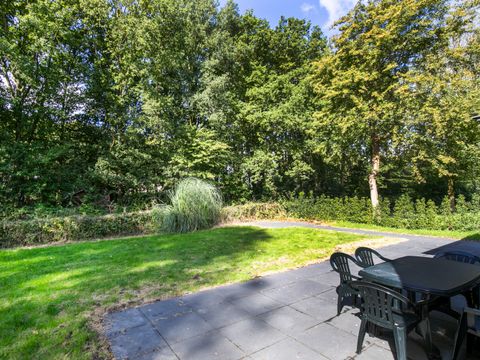 BUNGALOW 6 personnes - Forêt 151