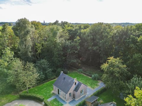 BUNGALOW 6 personnes - Forêt 151