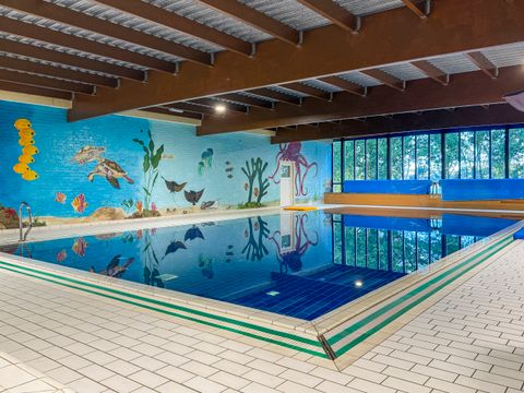 BUNGALOW 6 personnes - Forêt 223