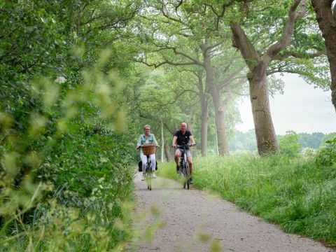 Landschapspark Striks Erve - Camping Staphorst - Image N°12