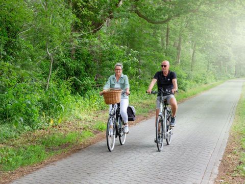 Landschapspark Striks Erve - Camping Staphorst - Image N°13