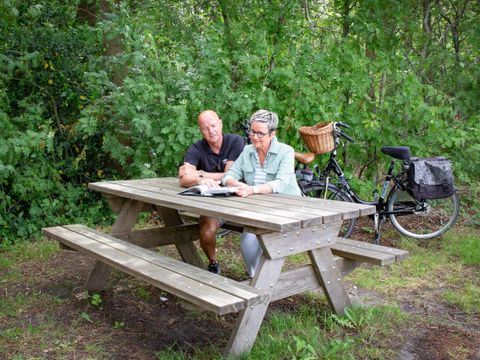 Landschapspark Striks Erve - Camping Staphorst - Image N°4