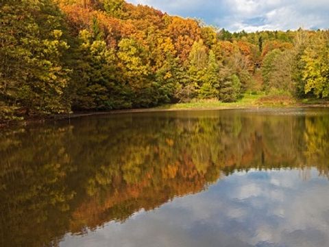 Domaine Le Boulac - Camping Luxembourg - Image N°34